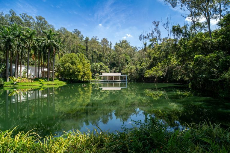 Inhotim. Corpo de agua com construção ao fundo e vegetação ao redor