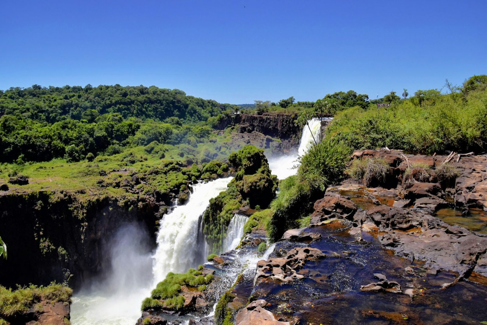 cachoeira em meio a floresta