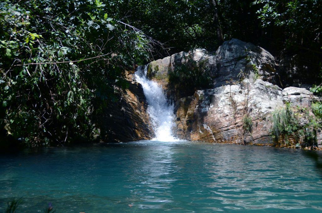 chapada dos veadeiros. cachoeira perto de arvores.