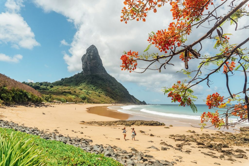 praia da conceição. Foto de praia com vegetação ao redor e pessoas caminhando na areia.