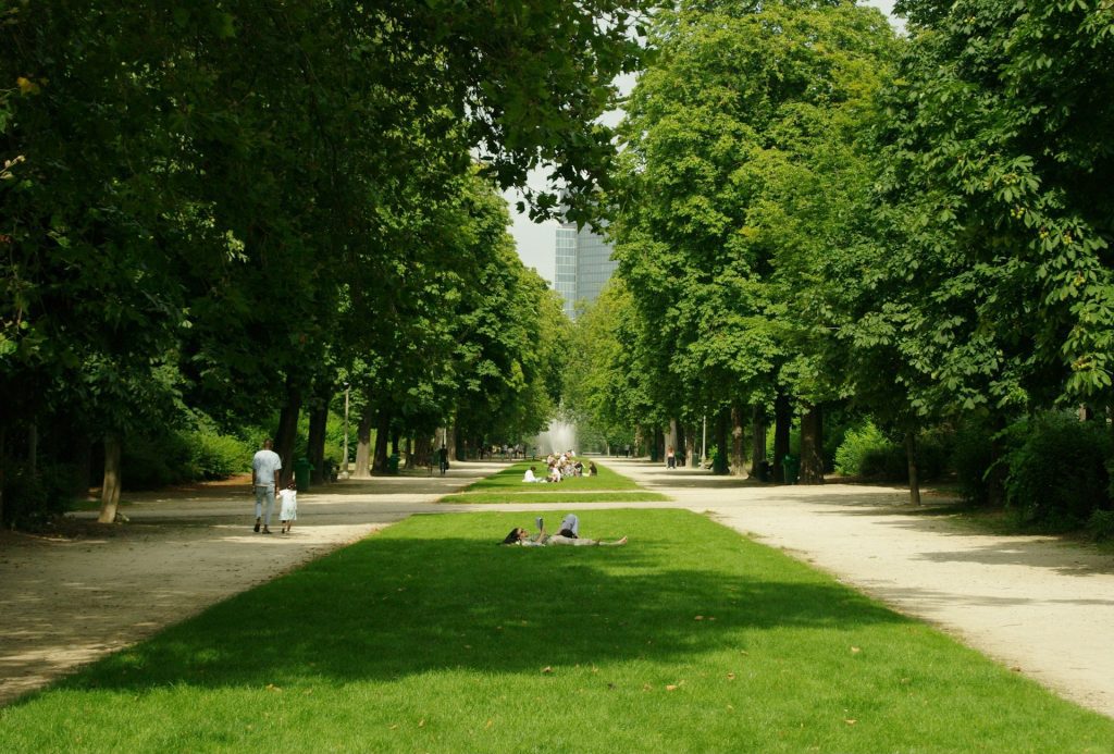 Parque. Foto de um caminho em meio a um parque muito arborizando com pessoas caminhando.