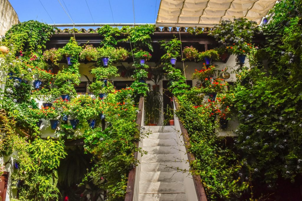 cordoba. foto de escadaria cheia de plantas