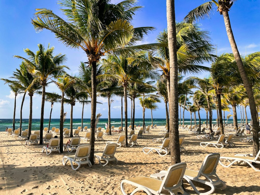 playa del carmen. Foto de uma praia com diversas palmeiras e espreguiçadeiras sobre a areia.